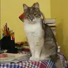 Отзыв от Римма Романова